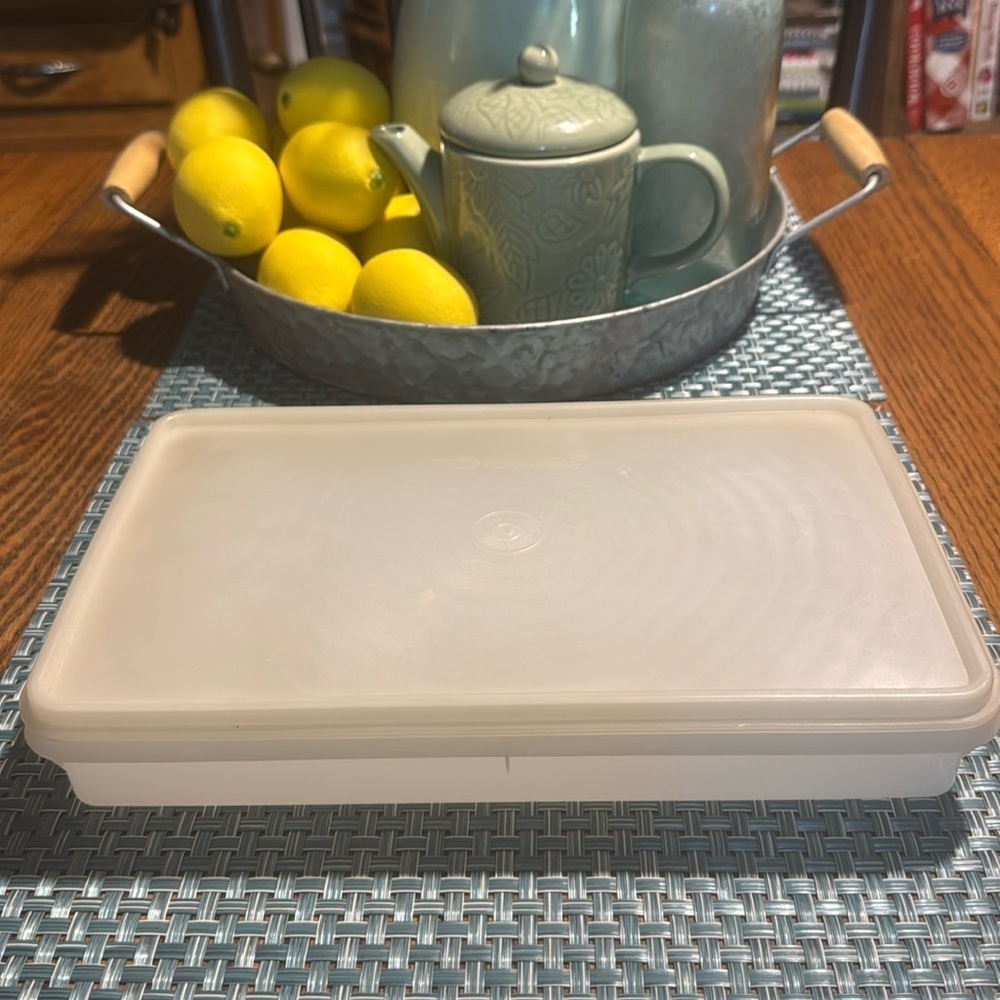 Vintage Tupperware deli, bacon 🥓 storage keeper.